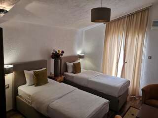 Отель Hotel Ideal Подгорица Двухместный номер с 2 отдельными кроватями-7